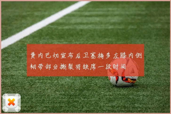 费内巴切宣布后卫塞梅多左膝内侧韧带部分撕裂将缺席一段时间